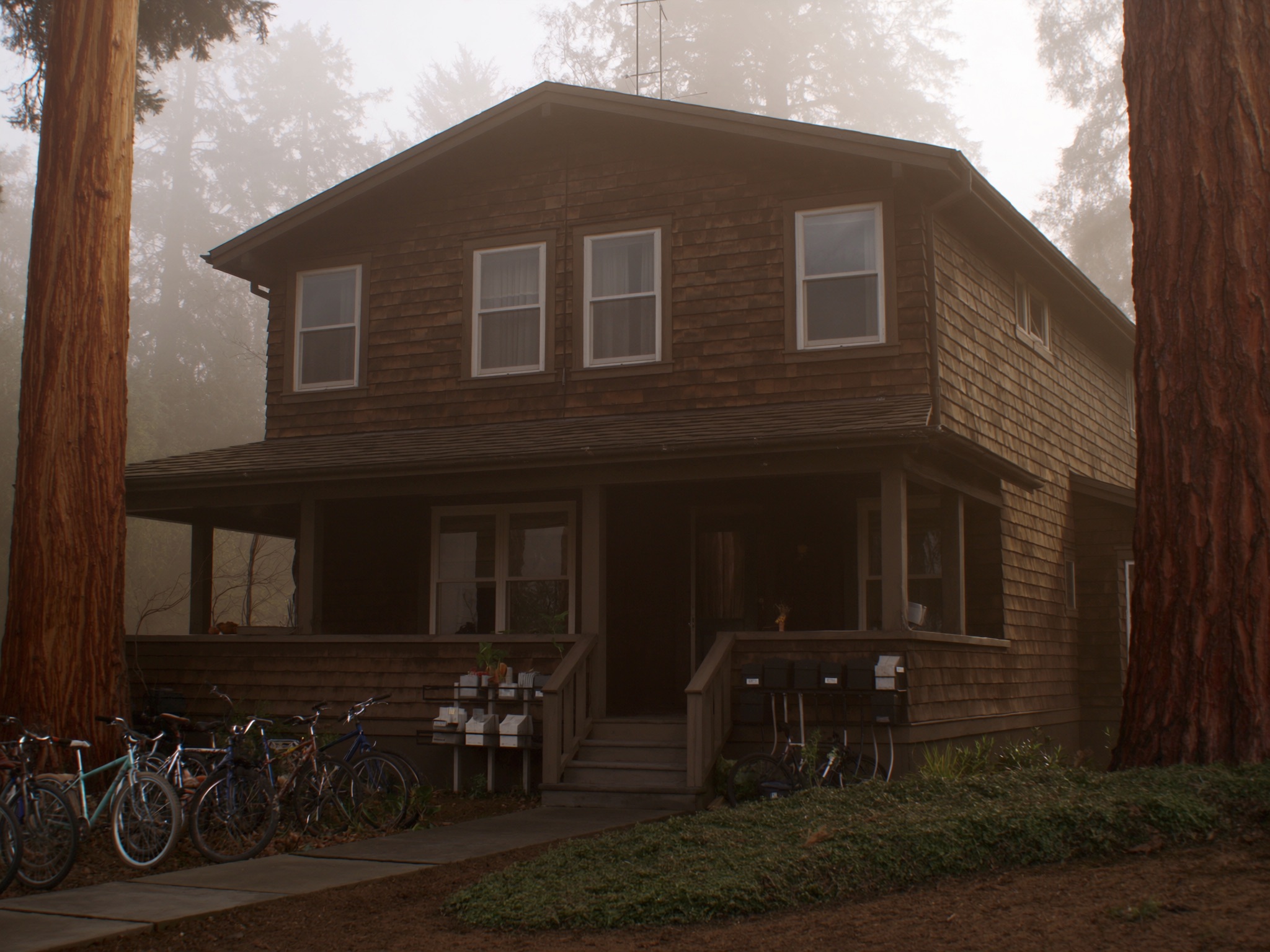 Illustration of a shared rental house surrounded by trees
